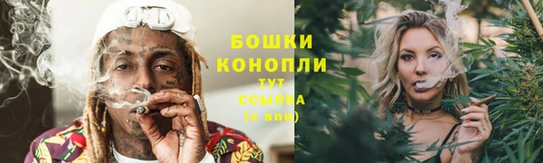 сатива Бикин