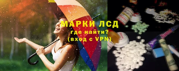 a pvp Новозыбков